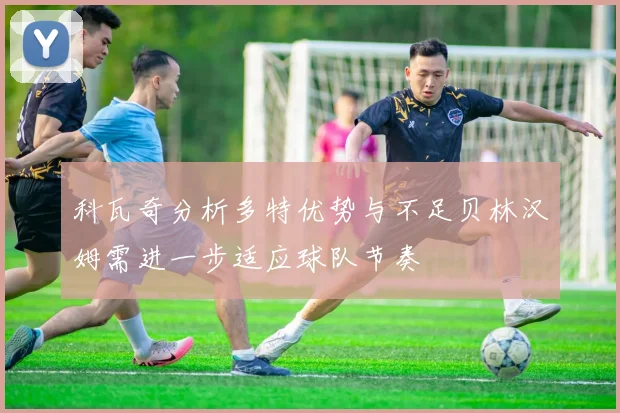 科瓦奇分析多特优势与不足贝林汉姆需进一步适应球队节奏